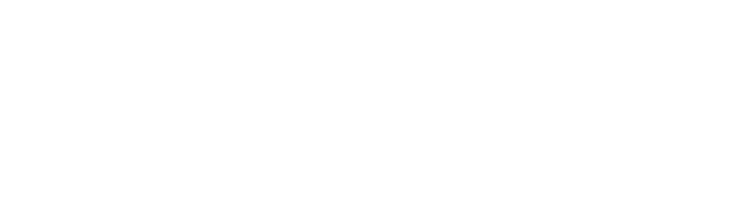 The Insight System